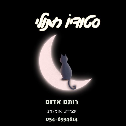רותם אדום סטודיו חתולי